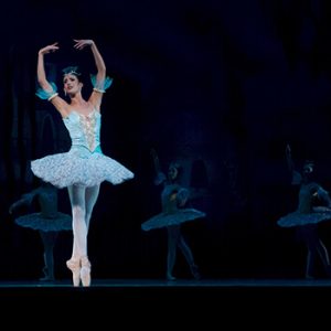 ballet-ballerina-performance-don-quixote-46158-t The Phantom