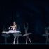 Ballet Show Nutcracker